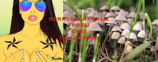 гидра Абинск