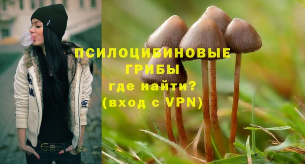 гидра Абинск