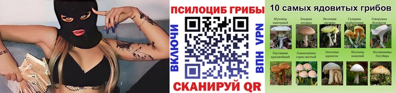 Галлюциногенные грибы мухоморы  mega маркетплейс  Верхоянск 